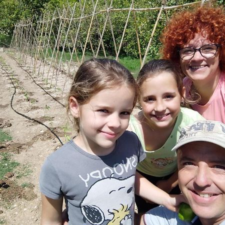 El Molinet Del Governador Guadalest Zewnętrze zdjęcie